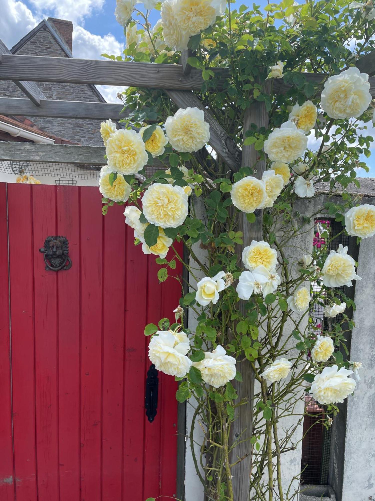 Delightful French Rustic Studio Jumilhac-le-Grand Luaran gambar