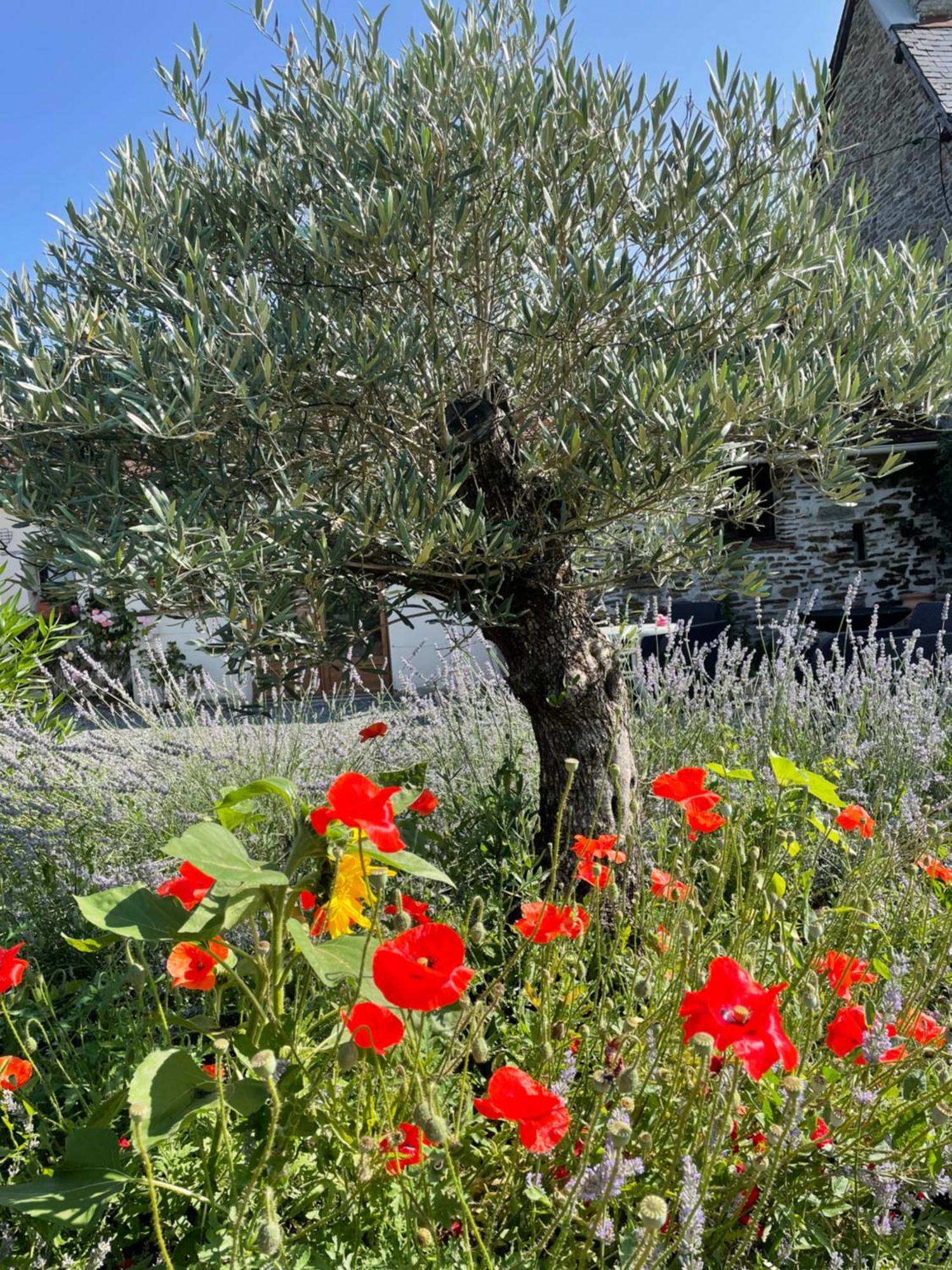 Delightful French Rustic Studio Jumilhac-le-Grand Luaran gambar